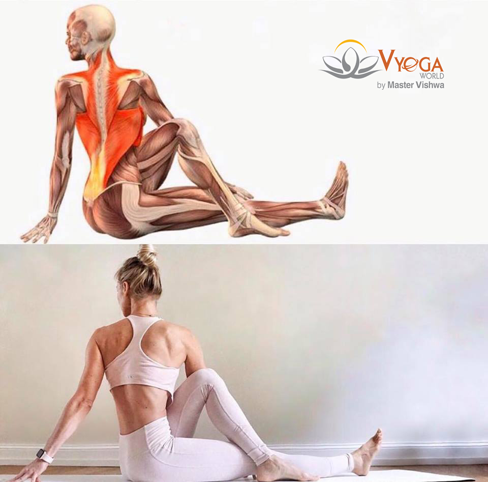 IYENGAR YOGA - BÀI TẬP TÁC ĐỘNG LÊN TẾ BÀO CƠ THỂ VÀ ĐÀO THẢI ĐỘC TỐ